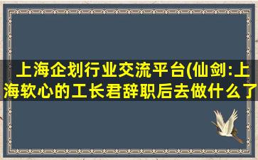 上海企划行业交流平台(仙剑：上海软心的工长君辞职后去做什么了)插图