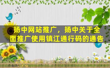 扬中网站推广，扬中关于全面推广使用镇江通行码的通告
